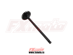 Клапан впускной NB300