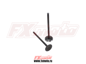 Клапана 2шт Впуск Выпуск YBS300