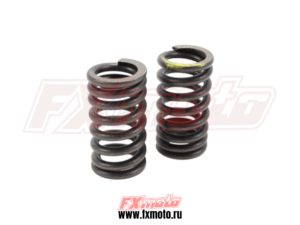 Пружины клапанов (2шт) NB300