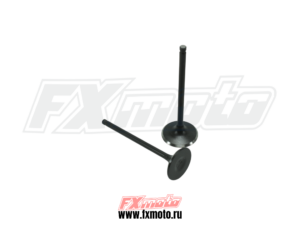Клапана компл. 166FMM YB250D