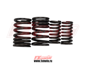 Пружины клапанов 2шт CG200