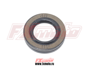 Сальник 12*22*4.8 YB250